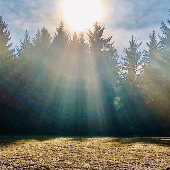 Meet your Posher, Starwind - Picture 4 of 5